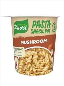 KNORR SNACK POT ETOIMO ΓΕΥΜΑ 59ΓΡ ΜΕ ΣΑΛΤΣΑ ΜΑΝΙΤΑΡΙΩΝ